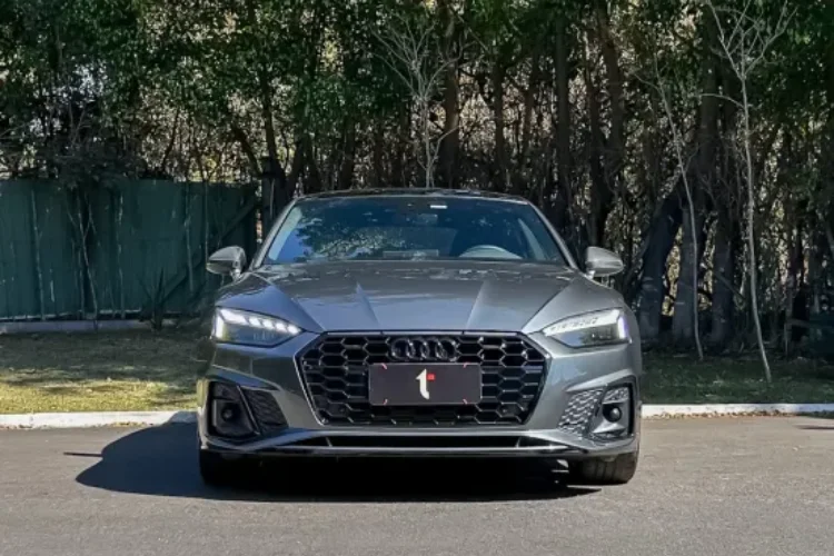 a5 (2)