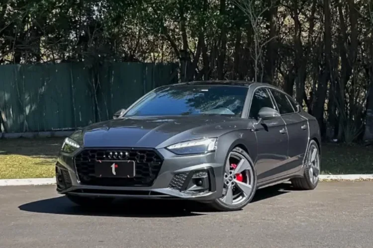 a5 (3)