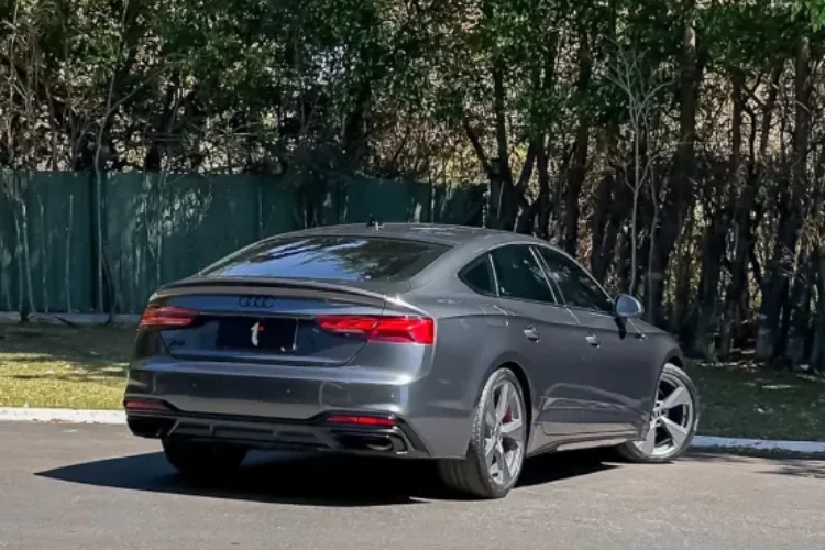 a5 (4)