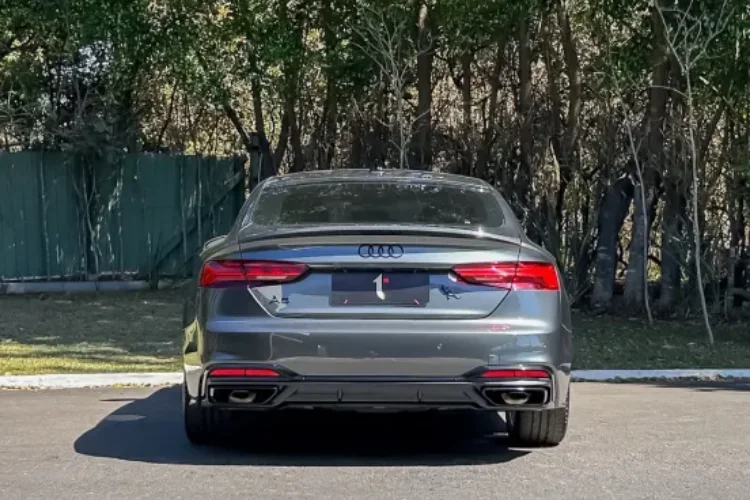 a5 (5)