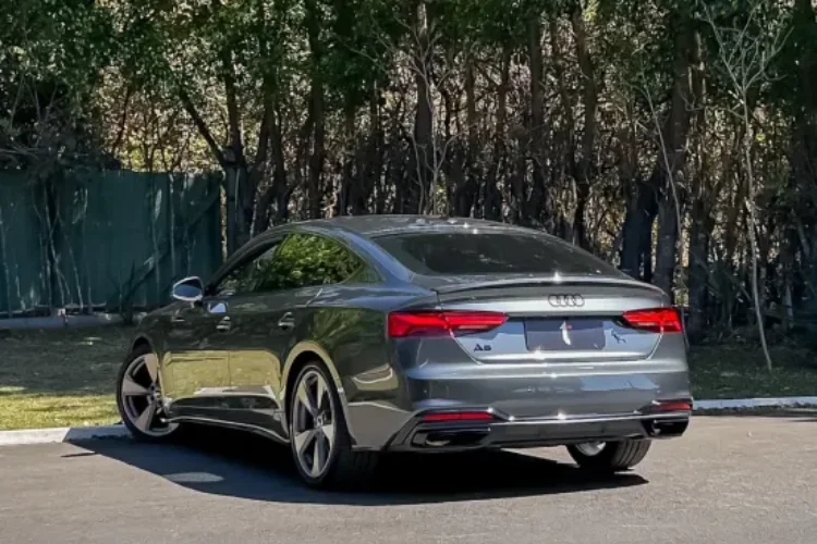 a5 (6)